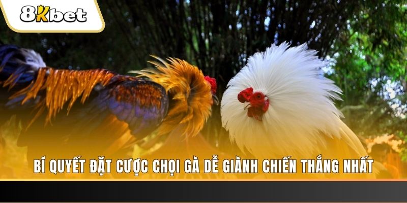 78wine xổ số thứ hai hàng tuần